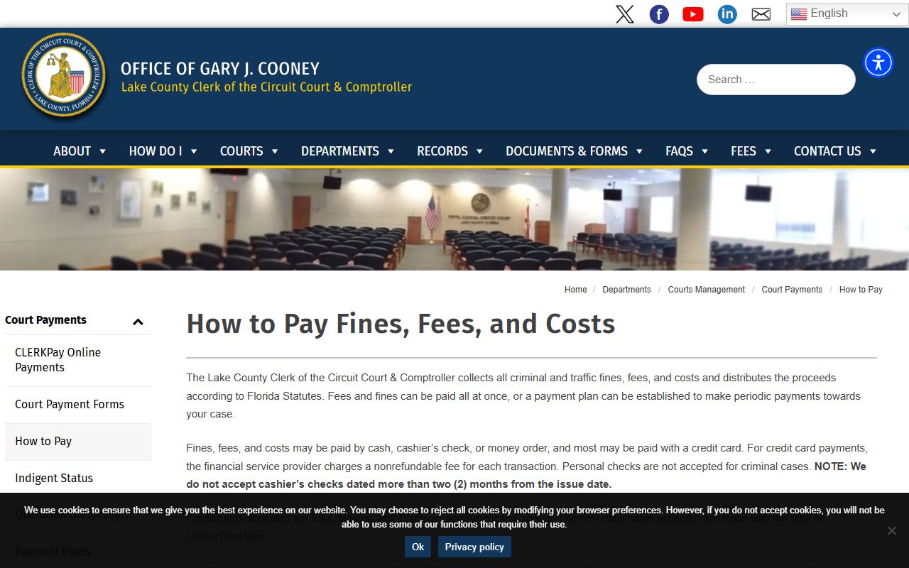 Lake County Clerk of Courts payment page for traffic ticket records